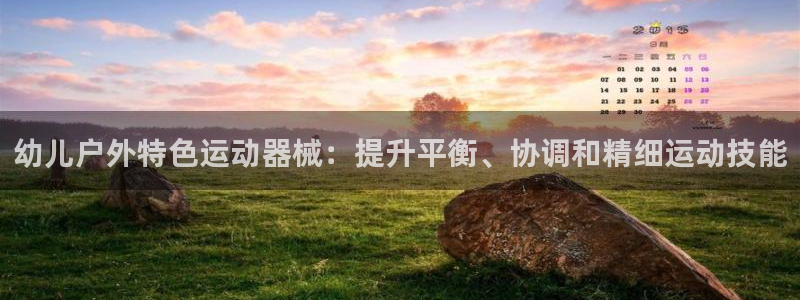 尊龙集团官网：幼儿户外特色运动器械：提升平衡、协调和