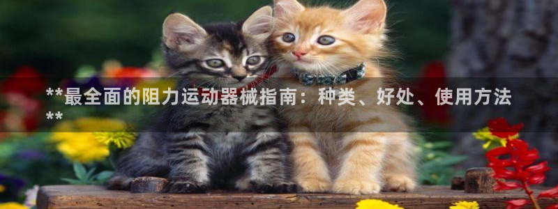 尊龙凯时为什么不封