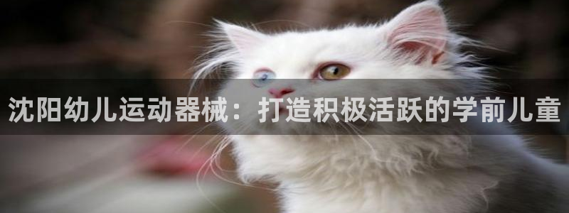 尊龙人生就是博旧版现