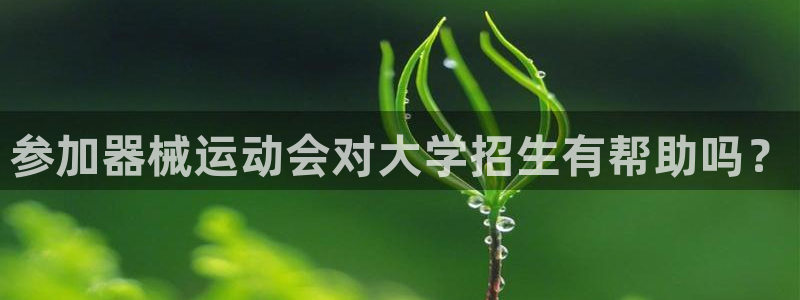 凯时国际官方版