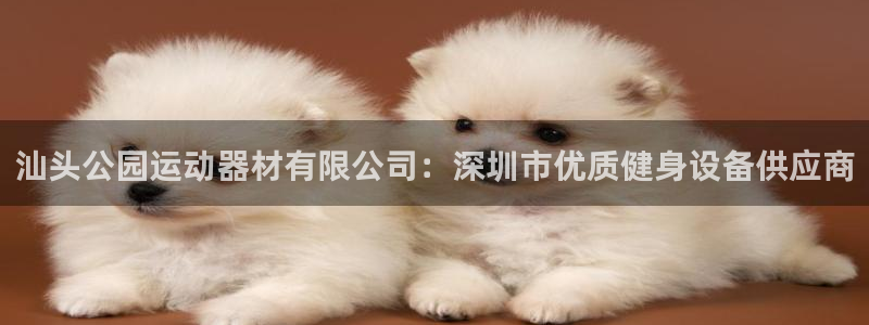 尊龙d88官网登录下载：汕头公园运动器材有限公司：深