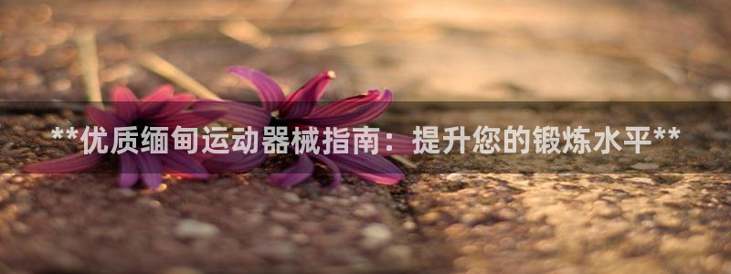 尊龙凯时人生就是搏平台：**优质缅甸运动器械指南：提