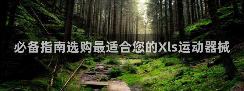 尊龙旗舰厅app：必备指南选购最适合您的Xls运动器