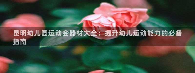 尊龙凯时产品系列：昆明幼儿园运动会器材大全：提升幼儿