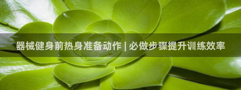 尊龙凯时处理未到账：器械健身前热身准备动作 | 必做