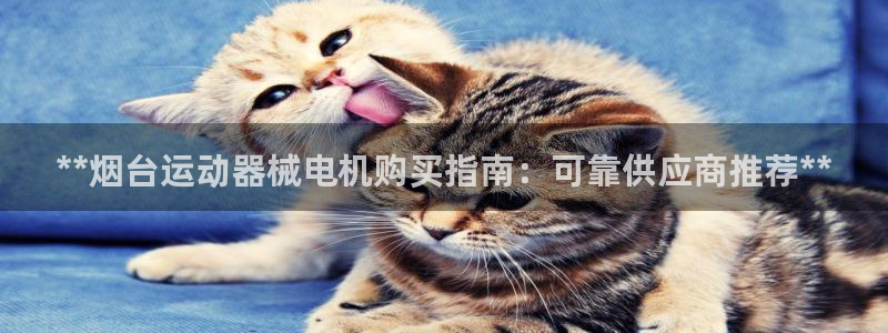 尊龙现金一下S选来就送38：**烟台运动器械电机购买
