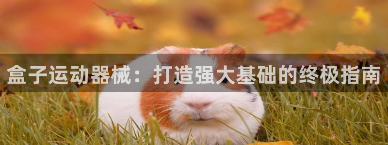 d88尊龙凯时：盒子运动器械：打造强大基础的终极指南