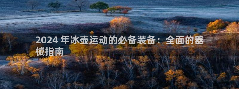 凯时首页登录：2024 年冰壶运动的必备装备：全面的