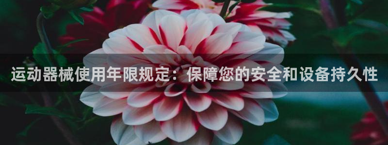 尊龙d88手机版下载：运动器械使用年限规定：保障您的