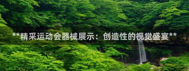 尊龙2020：**精采运动会器械展示：创造性的视觉盛