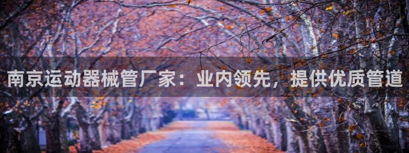 尊龙网站 人生就是博：南京运动器械管厂家：业内领先，