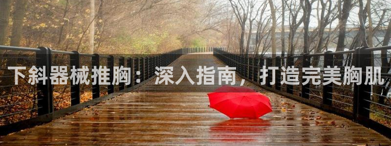 尊龙AG旗舰厅app下载：下斜器械推胸：深入指南，打