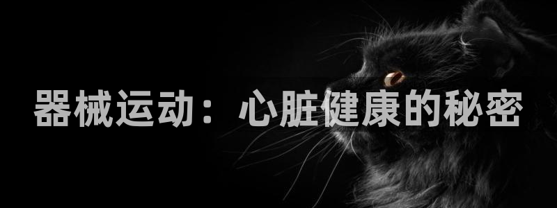 尊龙官方平台是正品吗：器械运动：心脏健康的秘密