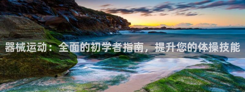 Z6尊龙凯时登录：器械运动：全面的初学者指南，提升您
