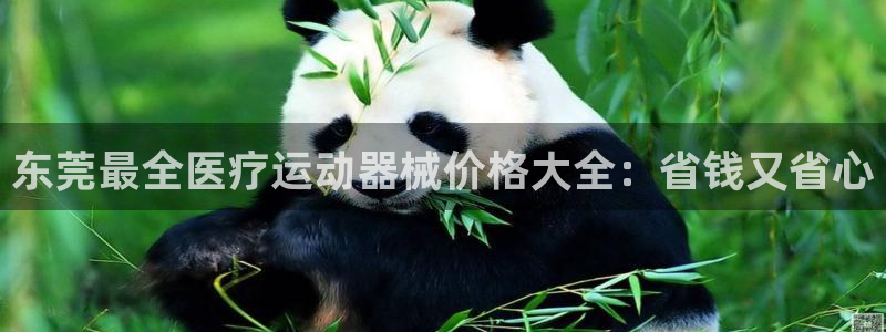 凯时k8娱乐唯一官网：东莞最全医疗运动器械价格大全：