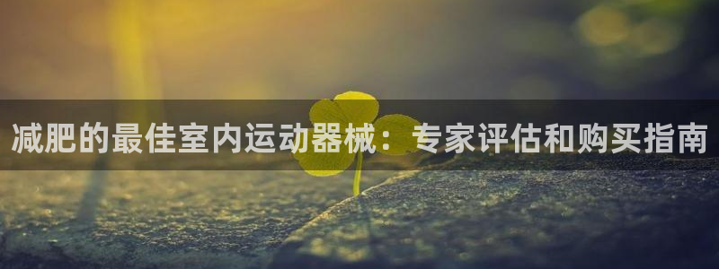 尊龙凯时处理未到账：减肥的最佳室内运动器械：专家评估