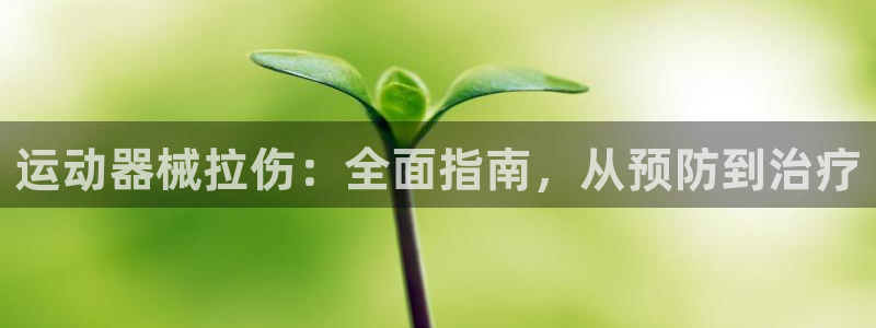 凯时kb88官方：运动器械拉伤：全面指南，从预防到治