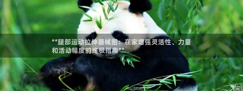 尊龙会：**腿部运动拉伸器械图：在家增强灵活性、力量
