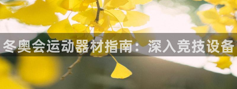 Ag尊龙平台：冬奥会运动器材指南：深入竞技设备