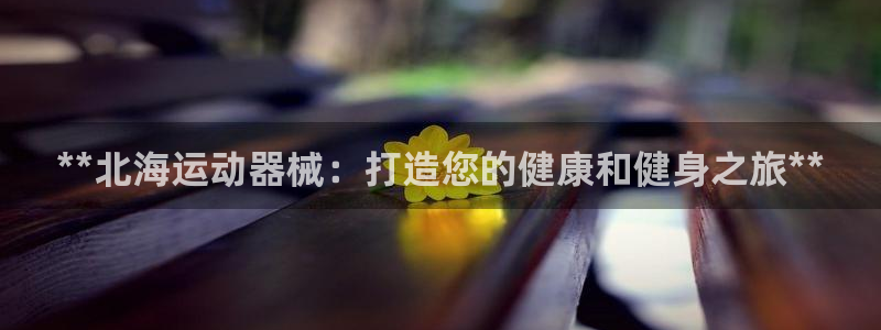 凯时kb88官网网址：**北海运动器械：打造您的健康