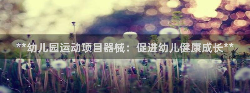尊龙凯时 人生就是搏!平台：**幼儿园运动项目器械：