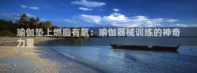 尊龙手机客户端app：瑜伽垫上燃脂有氧：瑜伽器械训练