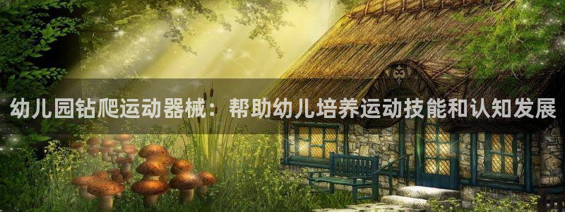 尊龙凯时人生就是搏技术实力：幼儿园钻爬运动器械：帮助