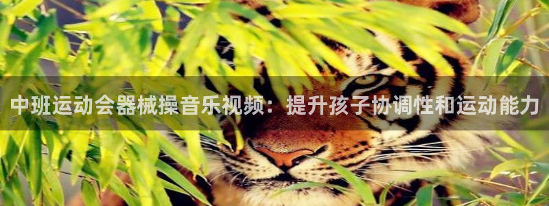 尊龙500价格：中班运动会器械操音乐视频：提升孩子协