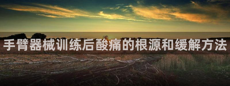 尊龙人生就是博手机版下载：手臂器械训练后酸痛的根源和