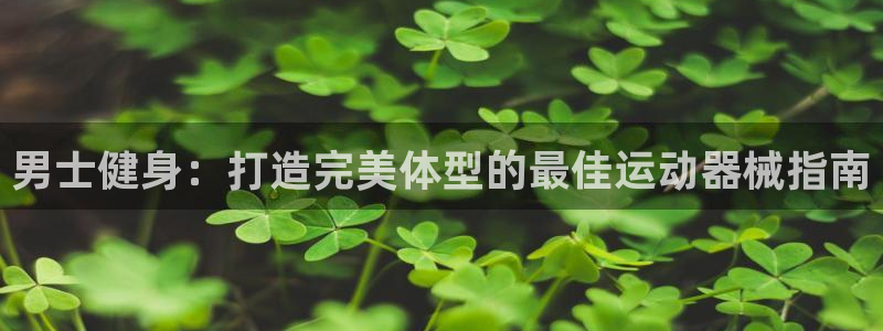 旧版尊龙人生就是博下载：男士健身：打造完美体型的最佳