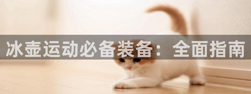 凯时国际app首页登录入口：冰壶运动必备装备：全面指
