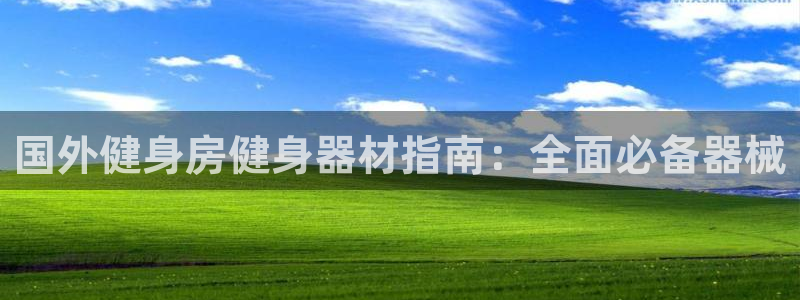 尊龙凯时官方网站下载：国外健身房健身器材指南：全面必