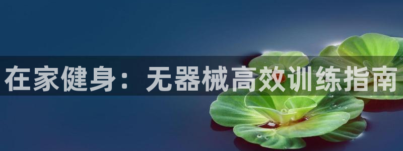 尊龙凯时官网平台：在家健身：无器械高效训练指南