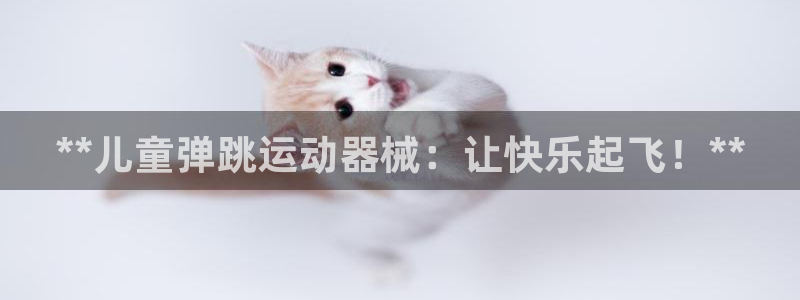 尊龙游戏中心：**儿童弹跳运动器械：让快乐起飞！**