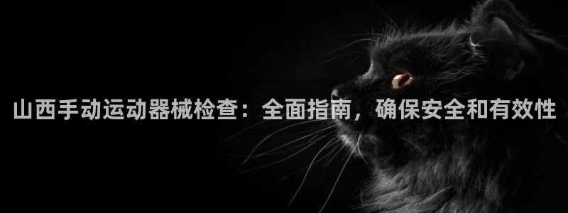 凯时平台怎么样：山西手动运动器械检查：全面指南，确保