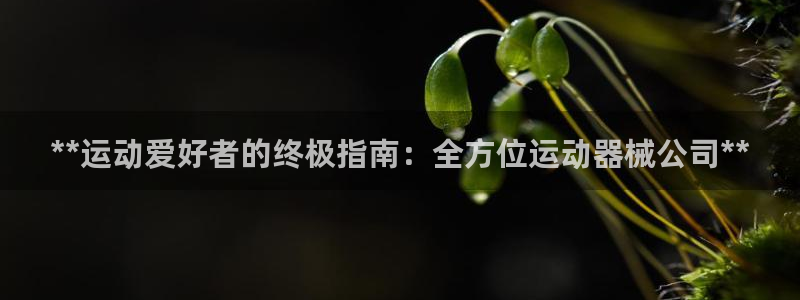 尊龙凯时充十万返现多少：**运动爱好者的终极指南：全