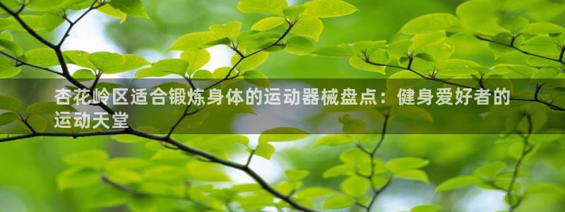 尊龙凯时官网：杏花岭区适合锻炼身体的运动器械盘点：健