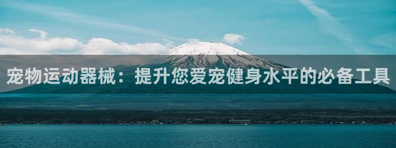 凯时k88最新：宠物运动器械：提升您爱宠健身水平的必