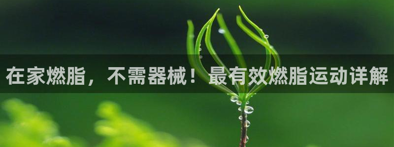 尊龙凯时vip：在家燃脂，不需器械！最有效燃脂运动详