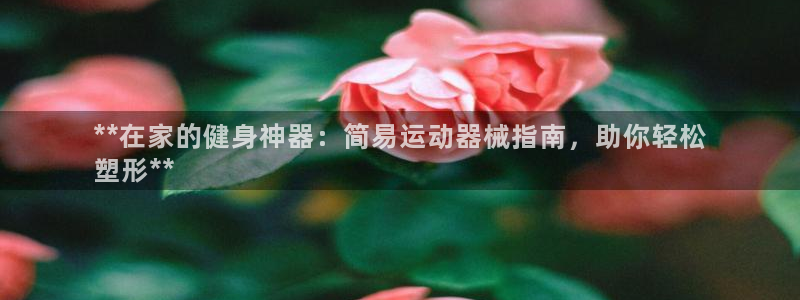 尊龙d88现金旧版本：**在家的健身神器：简易运动器