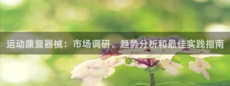 凯时kb88官网网址：运动康复器械：市场调研、趋势分
