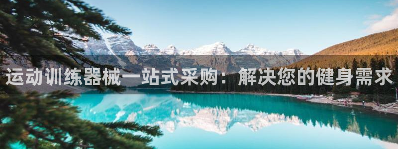 尊龙官网：运动训练器械一站式采购：解决您的健身需求