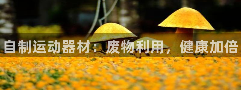 尊龙凯时台子：自制运动器材：废物利用，健康加倍