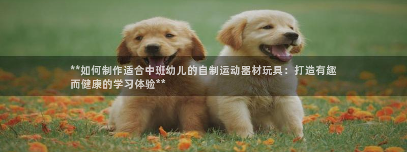 尊龙凯时网站赌愽是真的吗：**如何制作适合中班幼儿的