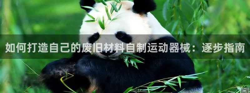 尊龙集团有限公司官网：如何打造自己的废旧材料自制运动