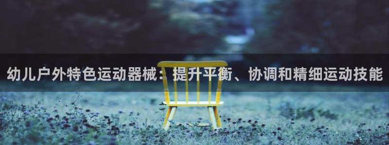 尊龙凯时平台入口：幼儿户外特色运动器械：提升平衡、协