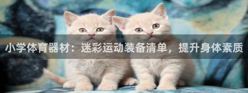 尊龙凯时请求参数不符合：小学体育器材：迷彩运动装备清