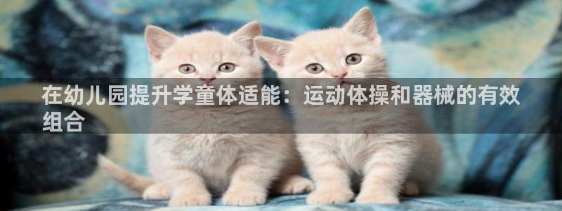 尊龙凯时 人生就是搏!：在幼儿园提升学童体适能：运动