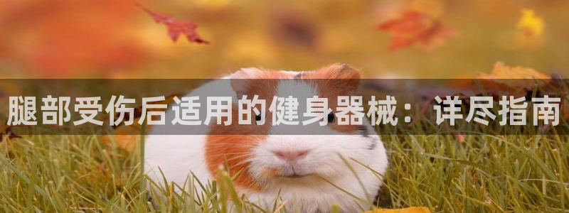 尊龙凯时网站赌愽是真的吗：腿部受伤后适用的健身器械：