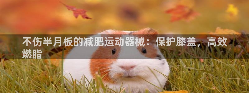 尊龙app登录不了：不伤半月板的减肥运动器械：保护膝